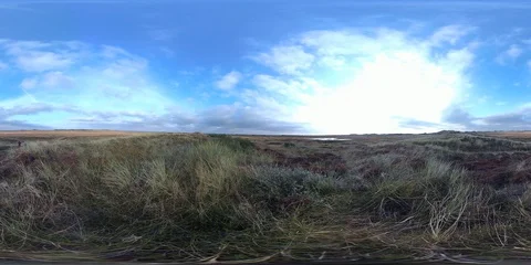VR360, Sand dune with dune grass on the North Sea coast, Denmark, VR Stock Footage 117535060