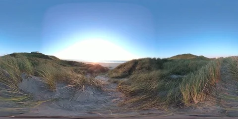 VR360, Sand dune with dune grass by sunset, North Sea coast, VR Stock Footage 117540345