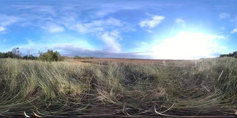 VR360, Sand dune with dune vegetation on the North Sea coast, Denmark, VR Stock Footage 117535296