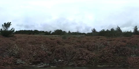 VR360, Sand dune with dune vegetation on the North Sea coast, Denmark, VR Stock Footage 117535482