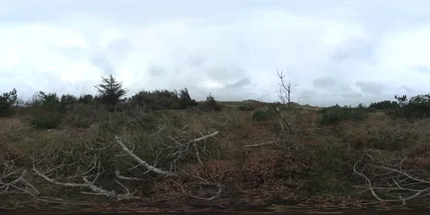 VR360, Sand dune with dune vegetation on the North Sea coast, Denmark, VR Stock Footage 117535615