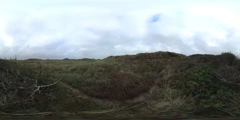 VR360, Sand dune with dune vegetation on the North Sea coast, Denmark, VR Stock Footage 117535683