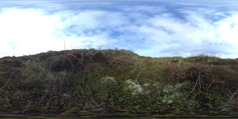 VR360, Sand dune with dune vegetation on the North Sea coast, Denmark, VR Stock Footage 117535941