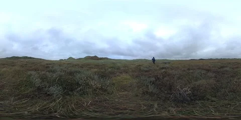 VR360, Sand dune with dune vegetation on the North Sea coast, Denmark, VR Stock Footage 117536227
