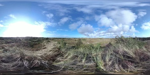 VR360, Sand dune with dune vegetation on the North Sea coast, Denmark, VR Stock Footage 117536301