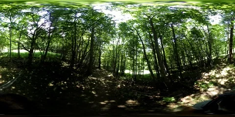 VR360 walking on an alpine path inside the forest Stock Footage 94260373