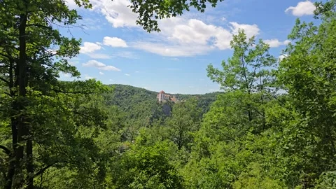 Vranov Castle Visible In Distance Through Green Tree Canopy, Wide Shot Stock Footage 344396441