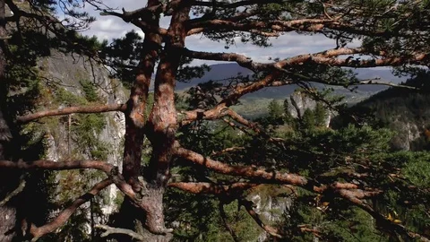 Vratna dolina 스톡 동영상 82707984