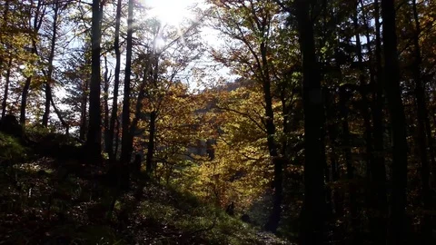 Vratna dolina Stock-Footage 82708053