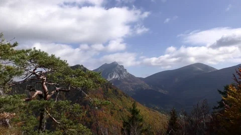 Vratna dolina Video stock 82708075