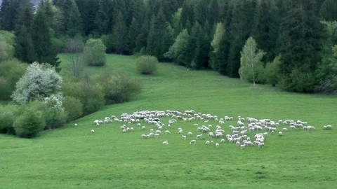 Vratna dolina 스톡 동영상 82735669