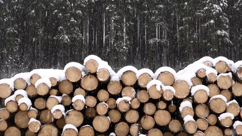 Vratna dolina Stock-Footage 82922800