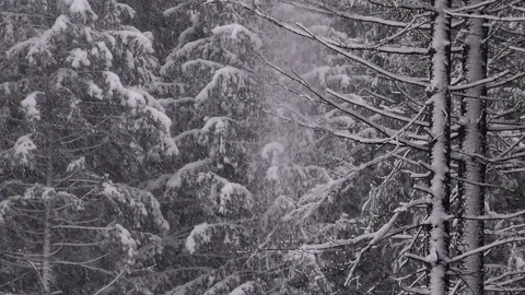 Vratna dolina Stock-Footage 82923067