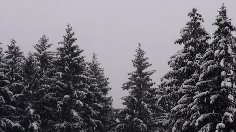 Vratna dolina 스톡 동영상 82923080