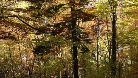 Vratna dolina Stock-Footage 83021717