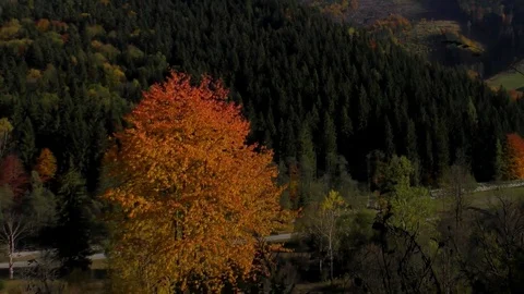 Vratna dolina Stock Footage 83021810