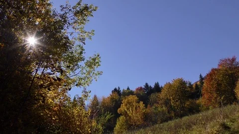 Vratna dolina Stock-Footage 83022619