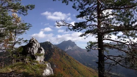 Vratna 스톡 동영상 82345543