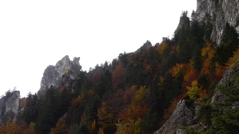 Vratna Video stock 82346579