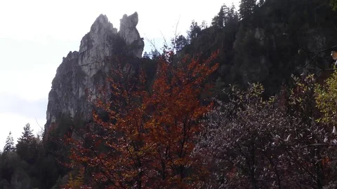 Vratna Stock-Footage 82410076