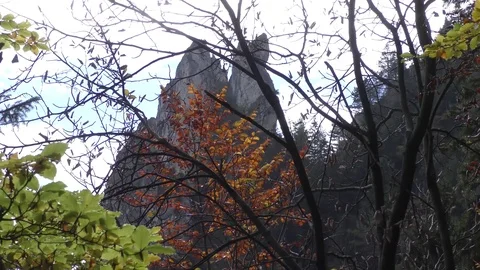 Vratna 스톡 동영상 82410079