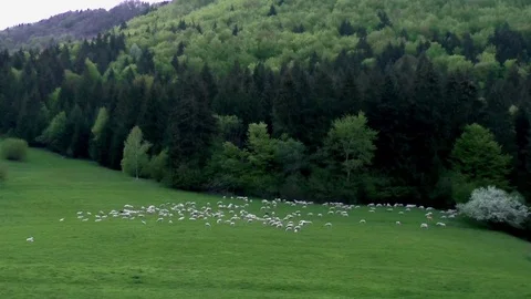 Vratna Stock Footage 82735786