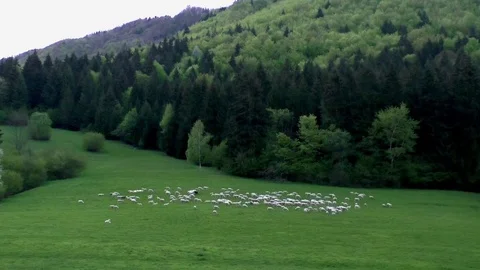 Vratna Video stock 82735796