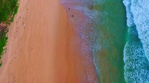 VSeamless Loop of Ocean Waves Sweeping Across a Tropical White Sand Beach 库存影片 342736598