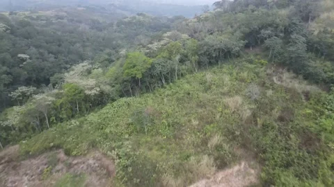 Vuelo drone 4k bosque el Castillo Xalapa VEr Stock Footage 169487771