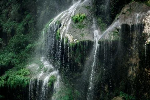 Vuelo húmedo entre cascadas gigantes Stock Photos