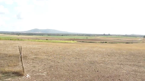 Vulci 1 Stockbeeldmateriaal 22554440