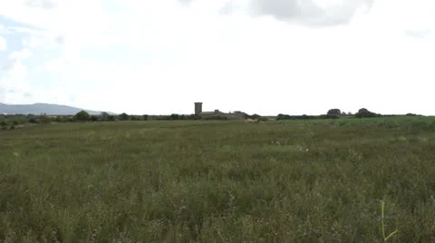 Vulci 10 Stock-Footage 22554384