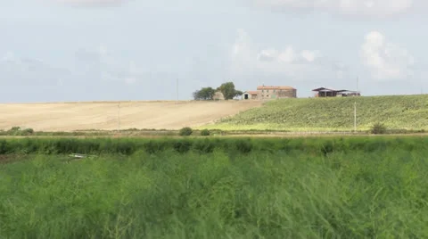 Vulci 15 Stockbeeldmateriaal 22554343