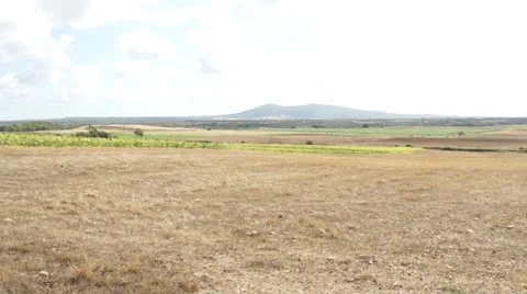 Vulci 2 Stockbeeldmateriaal 22554466