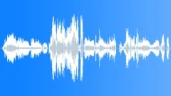 Vulgar sraw suckSound Effect