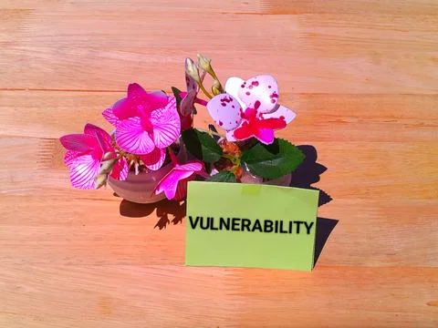 Vulnerability concept  Stock Photos