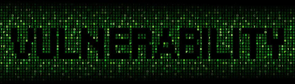 Vulnerability text on hex code illustration Illustrazione stock