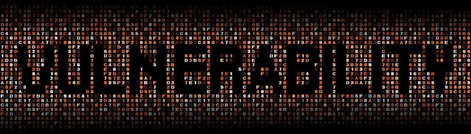 Vulnerability text on hex code illustration Stock Illustration