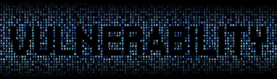 Vulnerability text on hex code illustration Stock Illustration