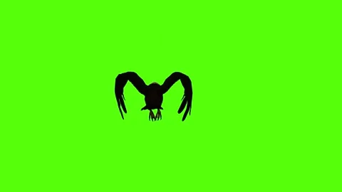 Vulture Attack claws Green Screen Animation 4K Rendering Stock Footage 295557049