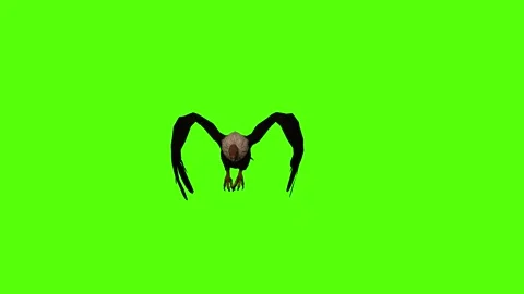 Vulture Attack claws Green Screen Animation 4K Rendering Stock Footage 295557062