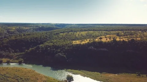 Vulture flight Stock Footage 100755709
