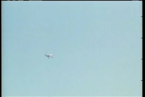 Vulture flying and landing on ground with other vultures 스톡 동영상 11353053