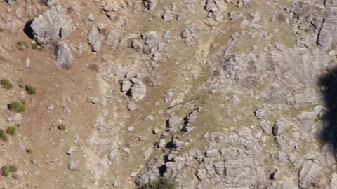 Vulture flying between mountain lights Stock Footage 72900800