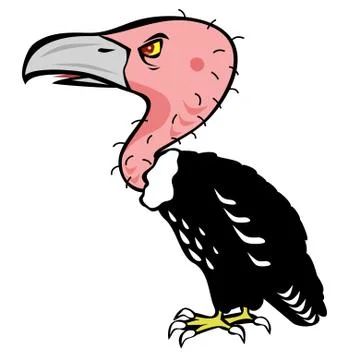 Vulture Stock-Illustration