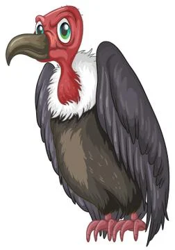 Vulture Stock Illustration