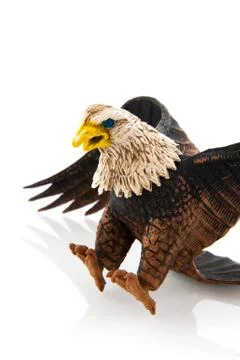 Vulture Stock Photos