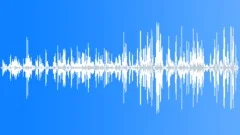 Vulture Sp CU Calls Sound Effect