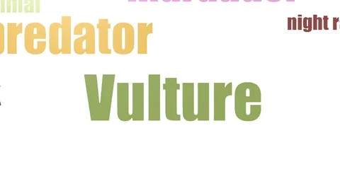 Vulture Tagcloud Animated Isolated On White Stock Footage 103664889