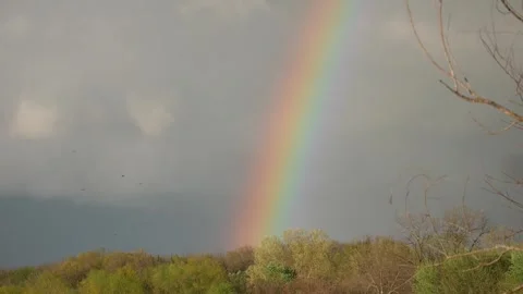 Vultures Fly Before a Large Beautiful Rainbow Vídeo Stock 307977979